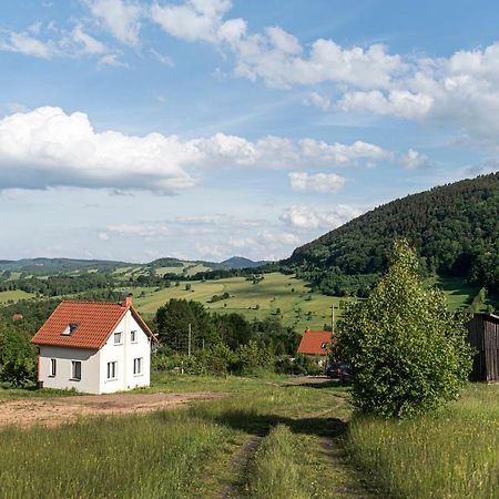 Willa Wzgórze Artystów Gluszyca Zewnętrze zdjęcie